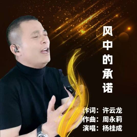 风中的承诺（杨桂成演唱歌曲）