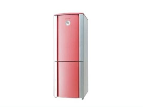 伊莱克斯冰箱BCD-251VI