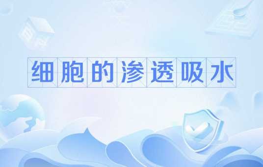 细胞的渗透吸水