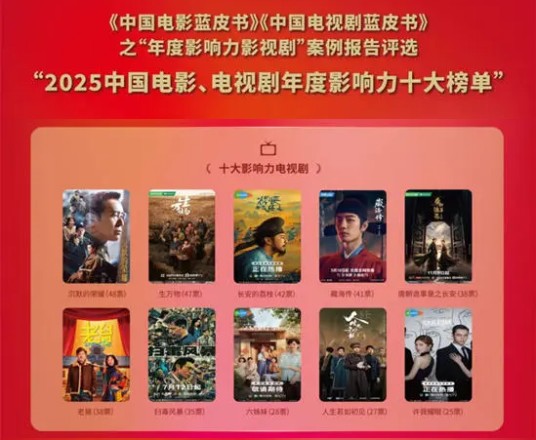 2025年度十大影响力电视剧