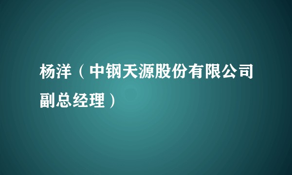 杨洋（中钢天源股份有限公司副总经理）