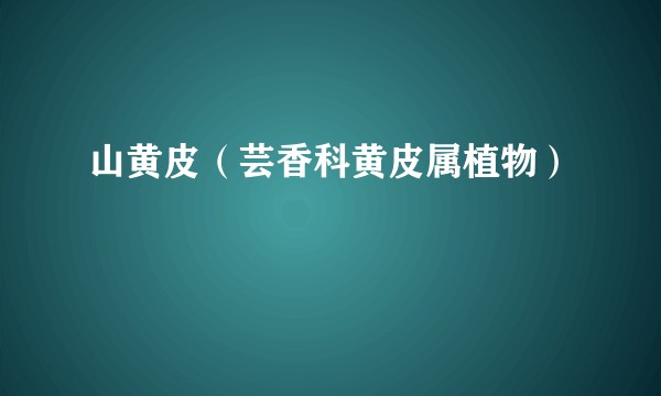 山黄皮（芸香科黄皮属植物）