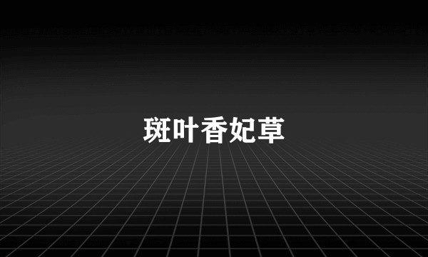 斑叶香妃草