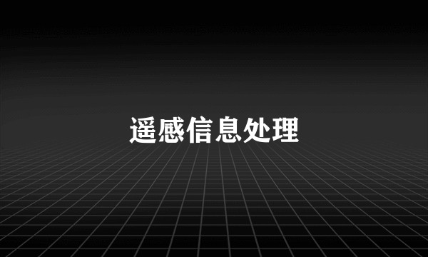 遥感信息处理