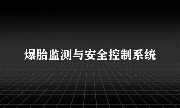 爆胎监测与安全控制系统