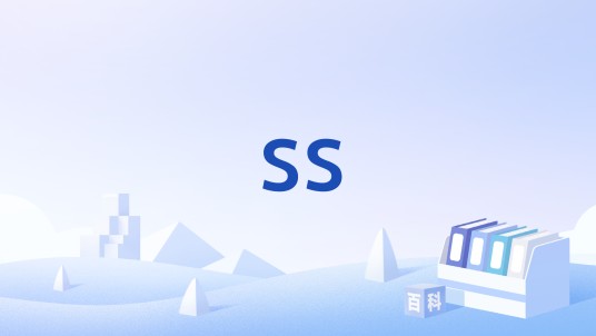 ss（国家股股东）