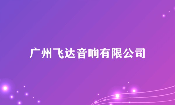 广州飞达音响有限公司