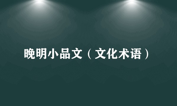 晚明小品文（文化术语）