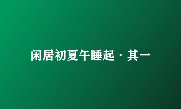 闲居初夏午睡起·其一