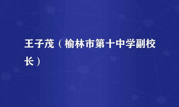 王子茂（榆林市第十中学副校长）