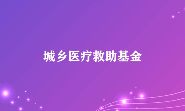 城乡医疗救助基金