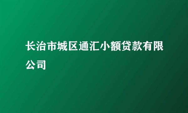 长治市城区通汇小额贷款有限公司