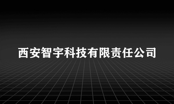 西安智宇科技有限责任公司