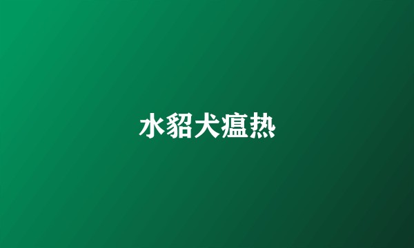 水貂犬瘟热