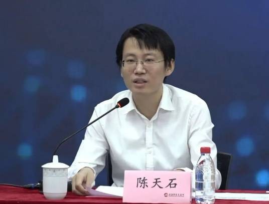 陈天石（科学家）