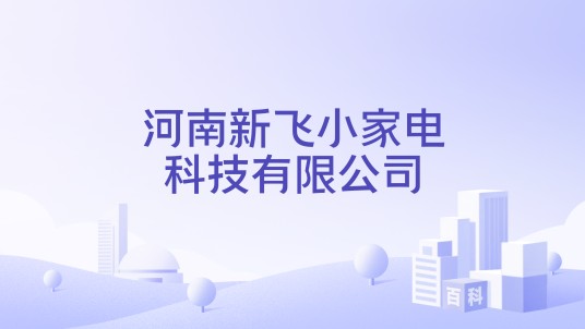 河南新飞小家电科技有限公司