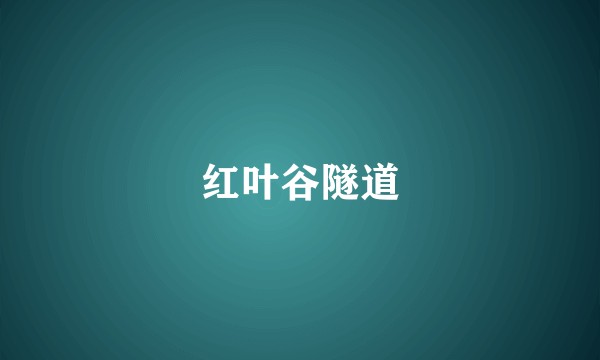 红叶谷隧道