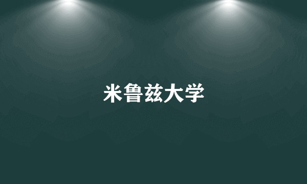 米鲁兹大学