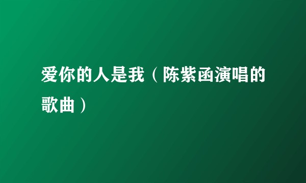 爱你的人是我（陈紫函演唱的歌曲）