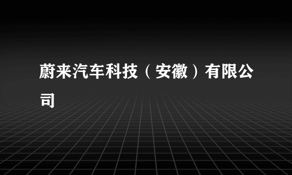 蔚来汽车科技（安徽）有限公司