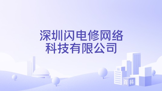 深圳闪电修网络科技有限公司