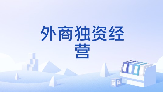 外商独资经营