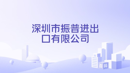 深圳市振普进出口有限公司