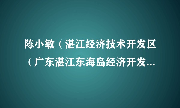 陈小敏（湛江经济技术开发区（广东湛江东海岛经济开发区）人民法院副院长）