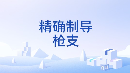 精确制导枪支
