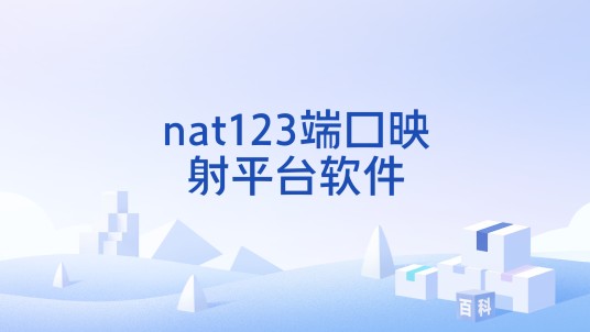 nat123端口映射平台软件