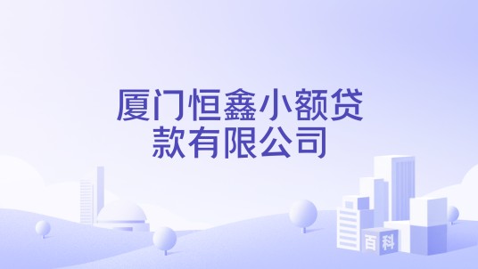 厦门恒鑫小额贷款有限公司