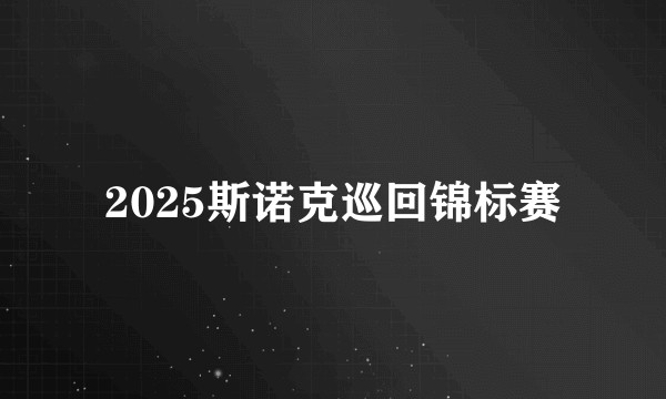 2025斯诺克巡回锦标赛