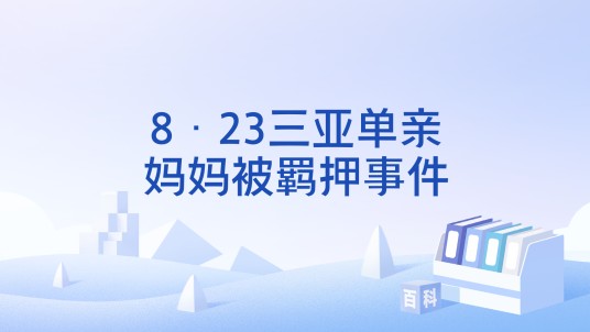 8·23三亚单亲妈妈被羁押事件