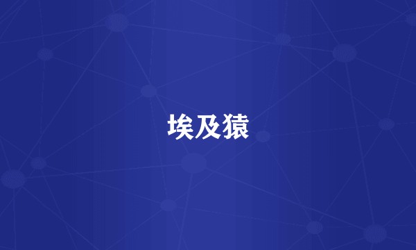 埃及猿