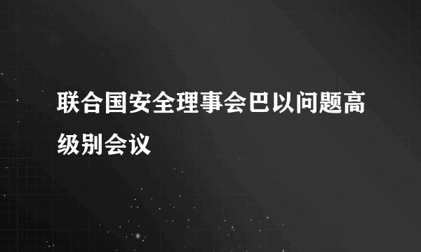 联合国安全理事会巴以问题高级别会议