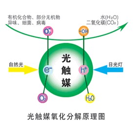 双激活光触媒