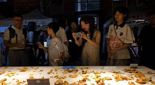 2026年景德镇男子卖树叶事件