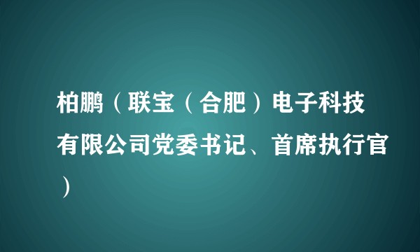 柏鹏（联宝（合肥）电子科技有限公司党委书记、首席执行官）