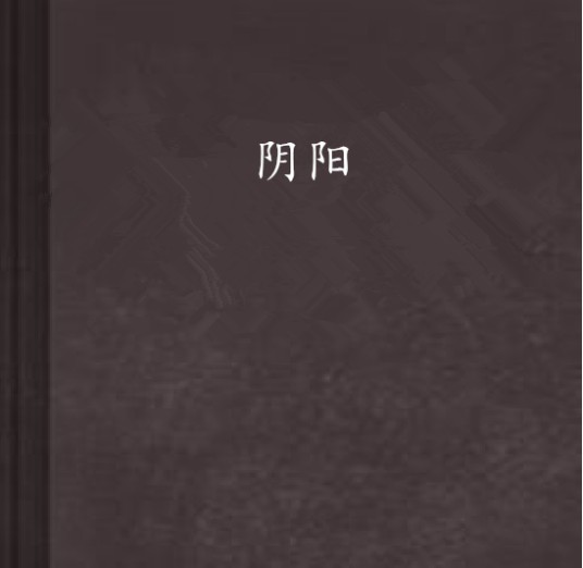 阴阳（包晓琳所著小说）