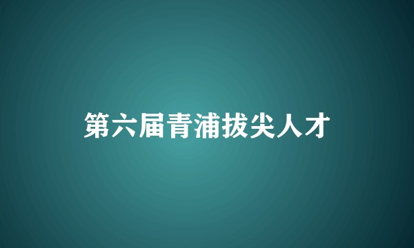 第六届青浦拔尖人才