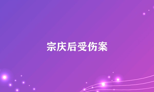 宗庆后受伤案
