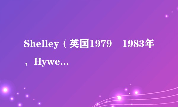 Shelley（英国1979–1983年，Hywel Bennett等人主演的系列电视剧）