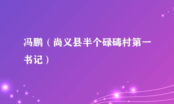 冯鹏（尚义县半个碌碡村第一书记）