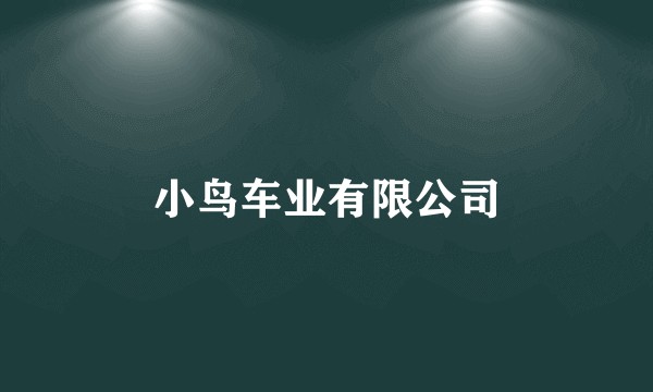 小鸟车业有限公司