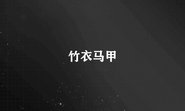 竹衣马甲