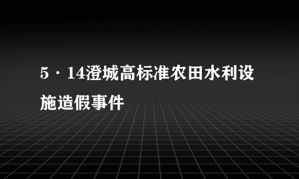 5·14澄城高标准农田水利设施造假事件