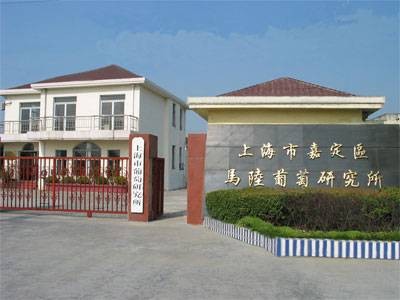 上海马陆葡萄研究所