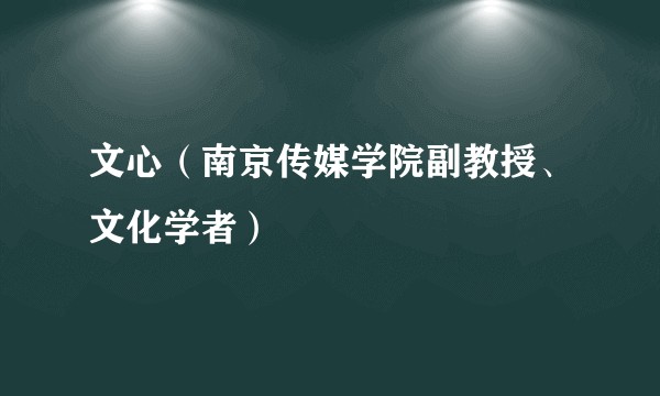 文心（南京传媒学院副教授、文化学者）