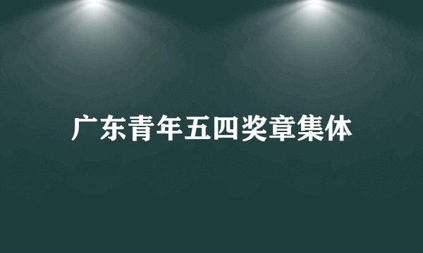 广东青年五四奖章集体