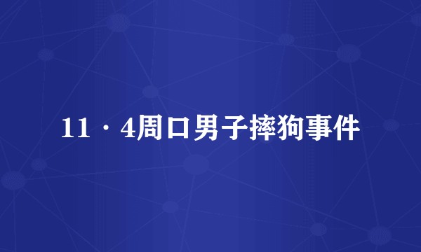 11·4周口男子摔狗事件